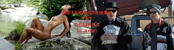 мяу мяу мука Белокуриха