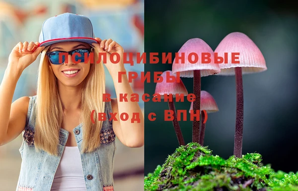 мяу мяу мука Белокуриха