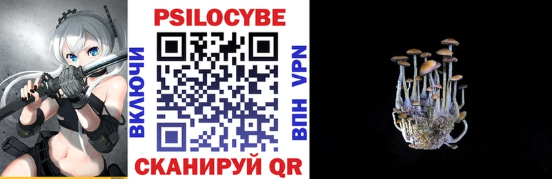 ссылка на мегу маркетплейс  сколько стоит  Трубчевск  Псилоцибиновые грибы MAGIC MUSHROOMS 